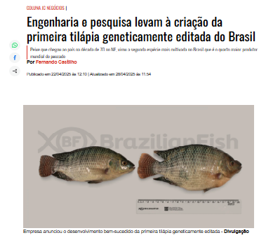 pesquisa tilapia.png