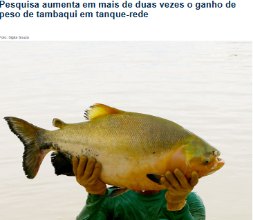 pesquisa tambaqui.png