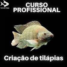 CURSO 2.jpg