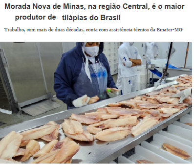 artigo tilapia morada.png