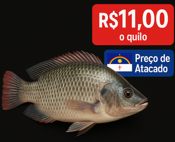 preço de 11 reais a tilapia.png