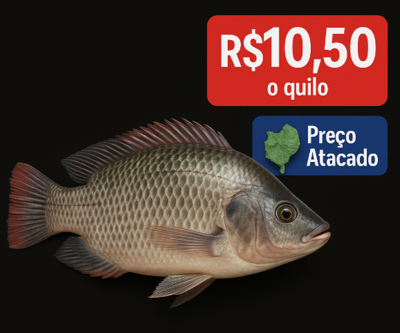 preço medio nordeste.png